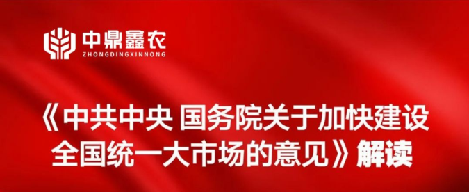 《中共中央 国务院关于加快建设全国统一大市场的意见》解读