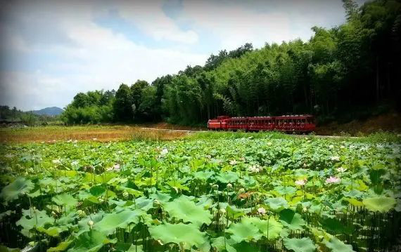 农业农村部：预计未来5到10年，农业农村投资需求近15万亿元